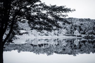 Reflection of trees in lake against sky