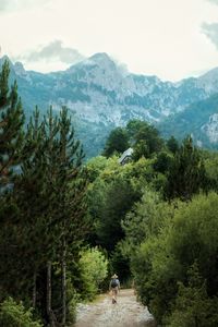 Scenic view of mountain against sky