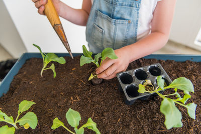 Midsection of woman holding plant