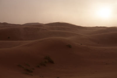 Scenic view of desert