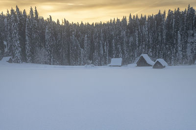 Scenic view of frozen field against sky during winter