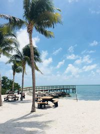 Palm trees on beach against sky