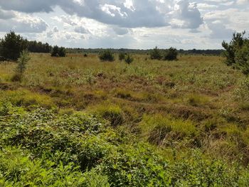 Scenic view of land against sky