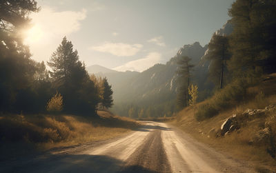 Road amidst trees against sky during sunset