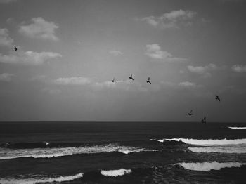 Seagulls flying over sea against sky