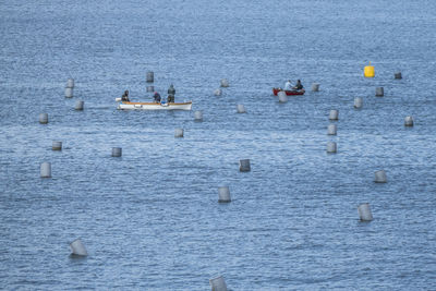 High angle view of people in sea