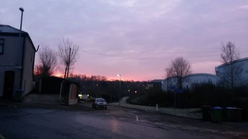 Bare trees on road at sunset