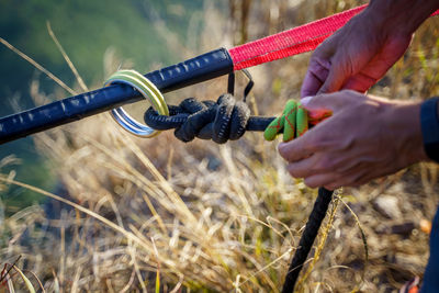 Close-up of hand holding stick on field