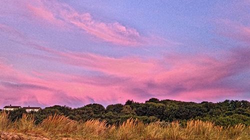 Scenic view of grassy field against sky
