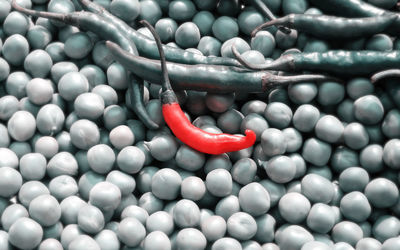 High angle view of chili peppers in container