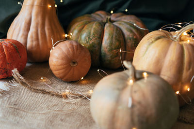 Close up ripe large pumpkins of various shapes with a garland. rustic still life.