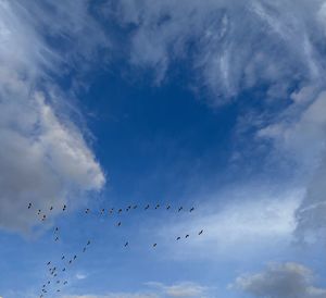 Low angle view of birds flying in sky