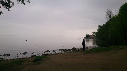 Rear view of people standing on beach against sky