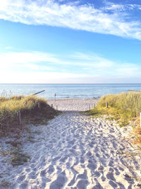 Scenic view of beach against sky