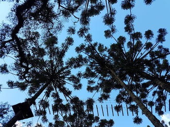 Low angle view of silhouette trees against clear sky