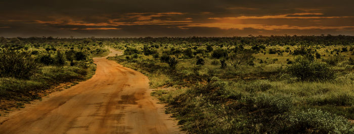 Dirt road amidst field against sky