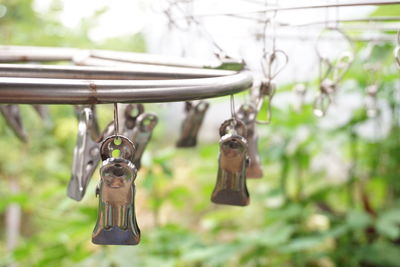 Close-up of rope hanging on wood