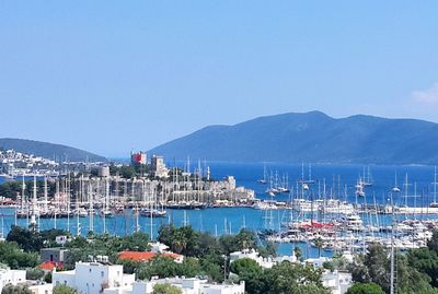 Sailboats moored on sea by cityscape against clear blue sky
