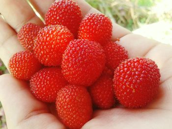 Close-up of strawberries