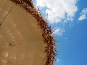 Low angle view of tree against sky