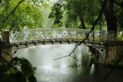 Bridge over river in forest