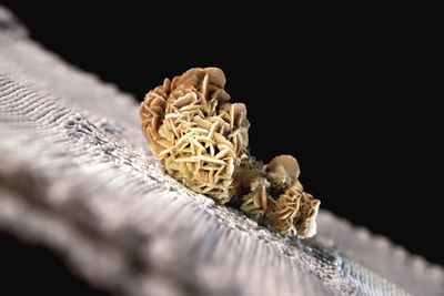 Close-up of bread on table against black background