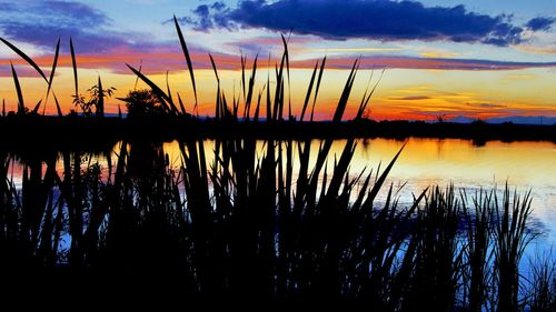 Scenic view of lake at sunset