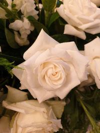 Close-up of rose bouquet