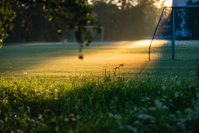 Goal post on playing field