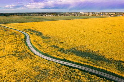 Scenic view of agricultural field