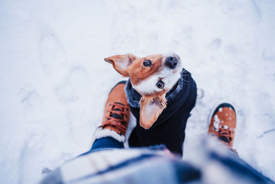 Jack russell dog wearing coat standing by owner legs on snowy landscape during winter