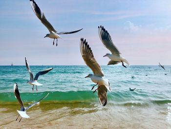 Seagulls flying over sea against sky