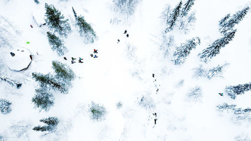 Aerial view of people walking on snow amidst trees