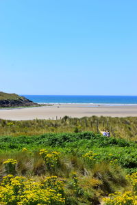 Scenic view of sea against clear sky