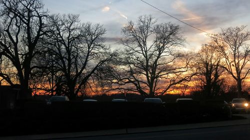 Silhouette of trees at sunset