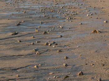 High angle view of footprints on sand