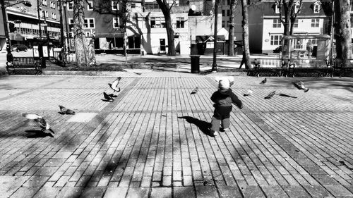 Child chasing pigeons in city square.