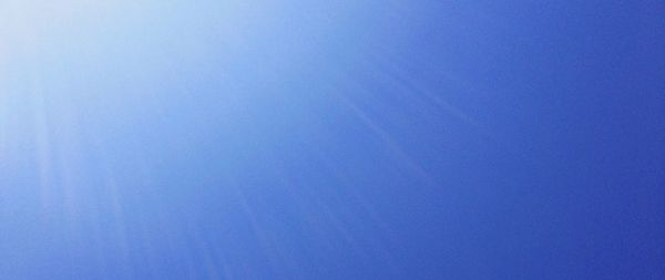 Close-up of tree against blue sky
