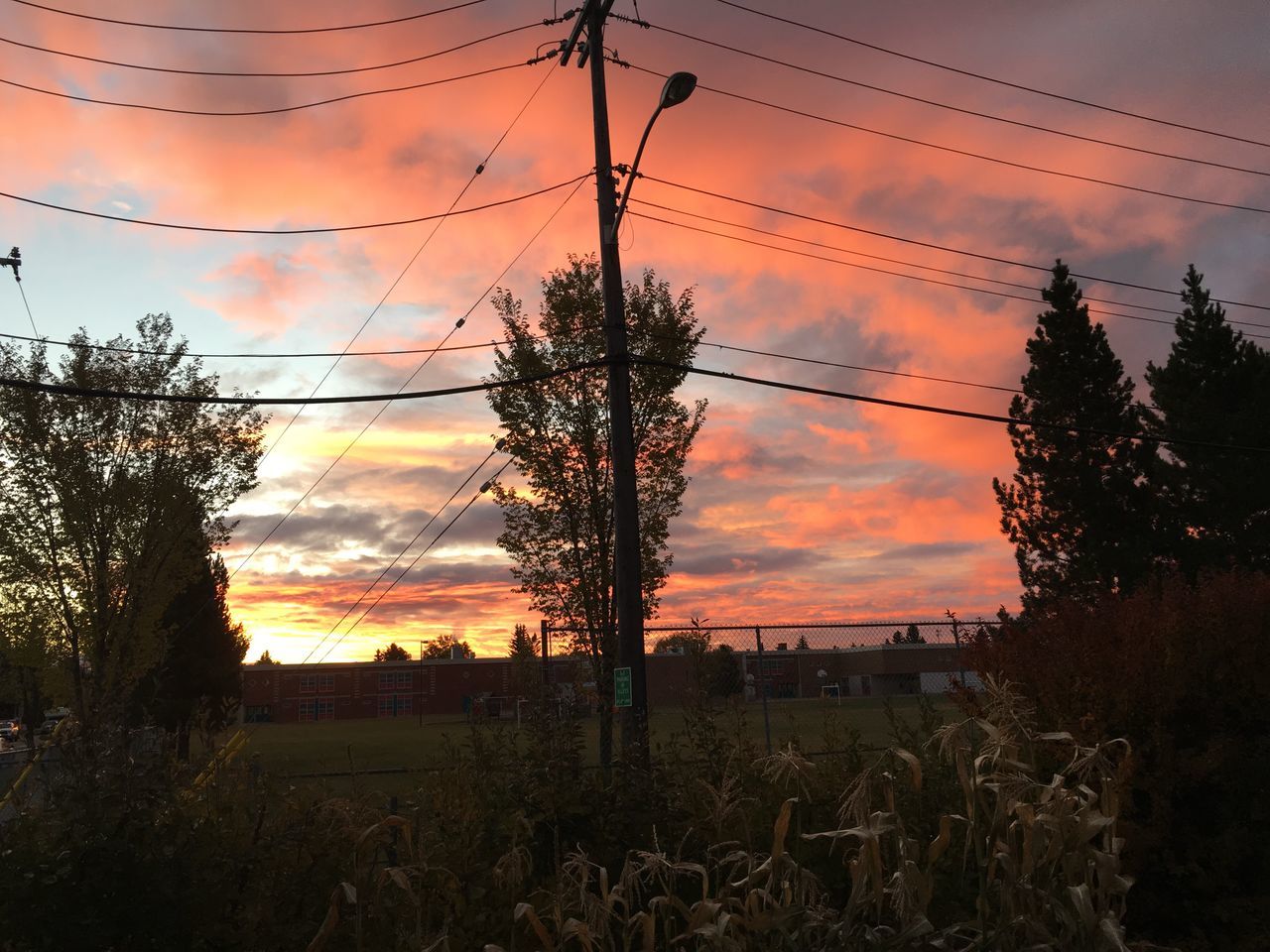 SILHOUETTE TREES AGAINST SKY DURING SUNSET