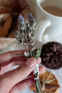 Cropped hand of person holding dried plant