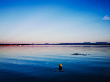 Man in sea against sky during sunset