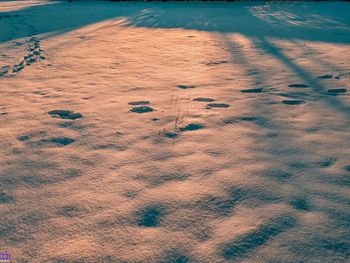 High angle view of footprints on sand at beach