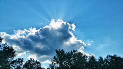 Low angle view of trees against cloudy sky