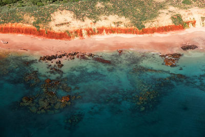 High angle view of trees by sea