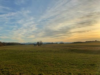 Scenic view of field against sky