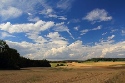 Scenic view of agricultural field against sky