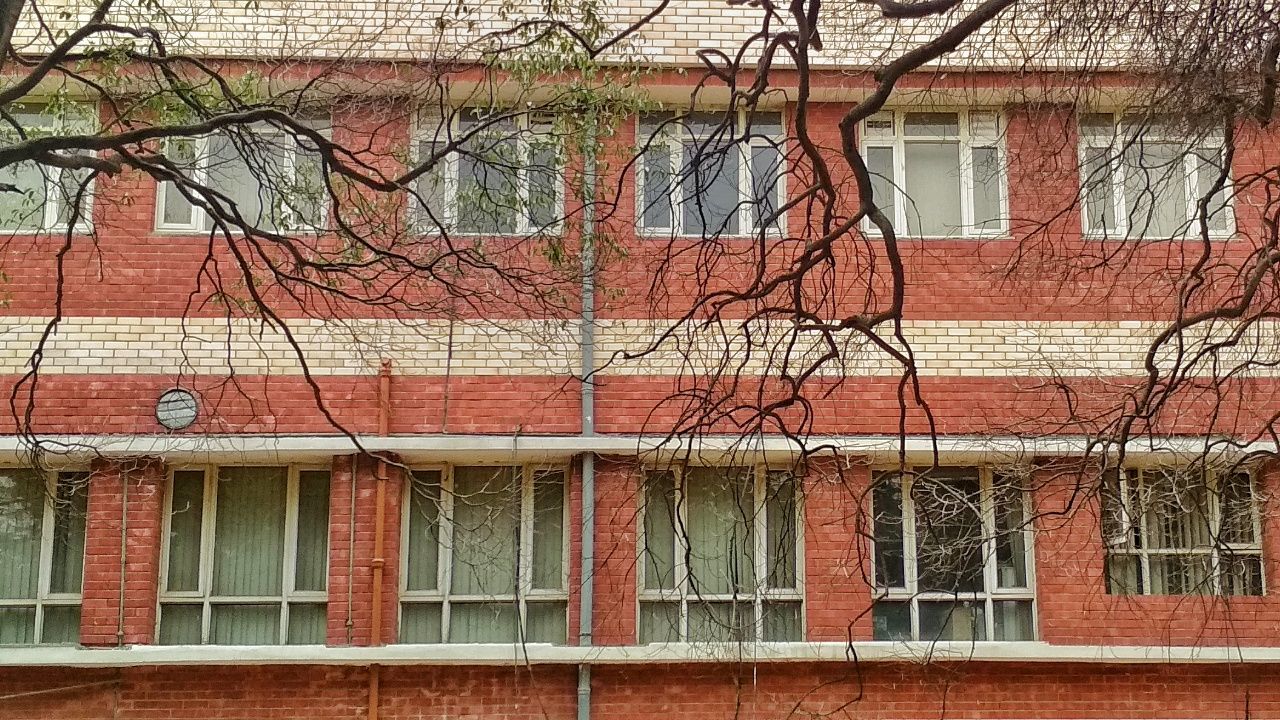 built structure, building exterior, architecture, tree, building, bare tree, window, branch, plant, house, day, no people, residential district, wall, outdoors, nature, wall - building feature, brick wall, brick, low angle view