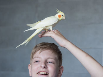 Portrait of happy caucasian teenager with parrot on gray background