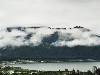 Fog on the lake