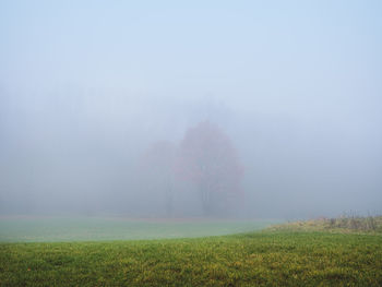 Scenic view of field against sky in foggy weather